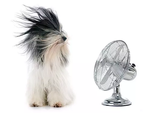 5 Ways to Stay Cool Without Air Conditioning